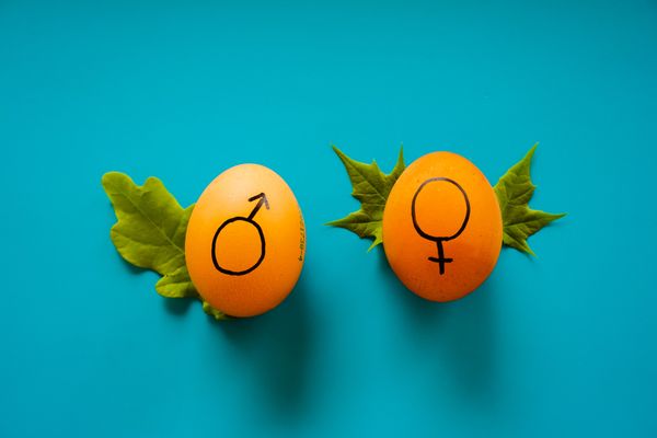 Gendern – zu kompliziert?